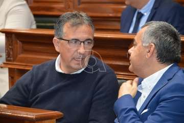 Pleno ordinario de febrero de 2020 (Foto TA)